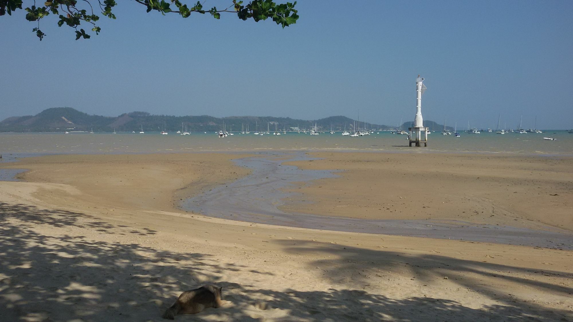 Luna Guesthouse And Travel Rawai Ngoại thất bức ảnh
